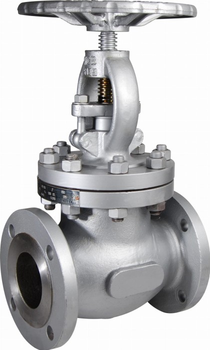 Zawór grzybkowy GLV150.jpg